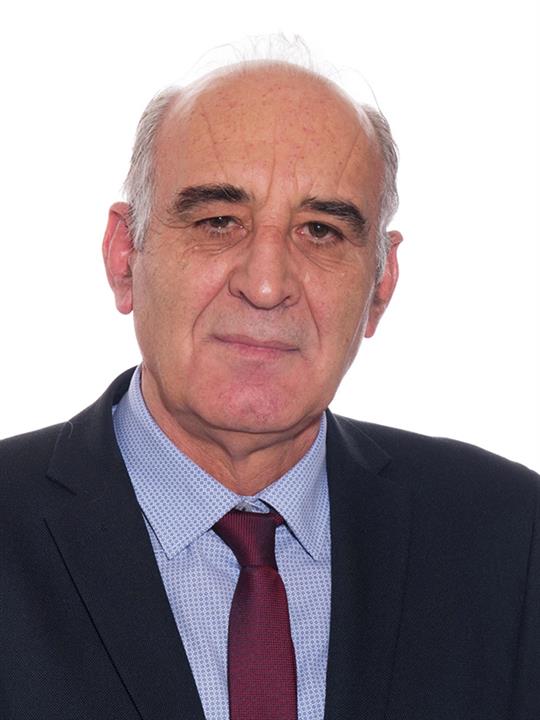 Efstathios P. Kagioulis